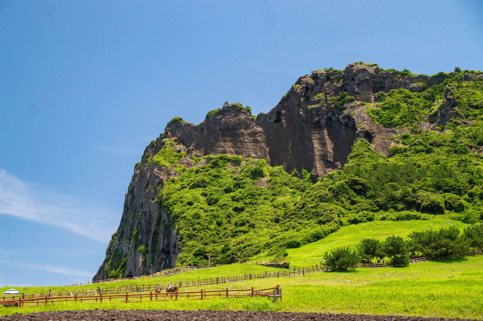 Green volcanic crater cliffs above pastures on Jeju Island, South Korea